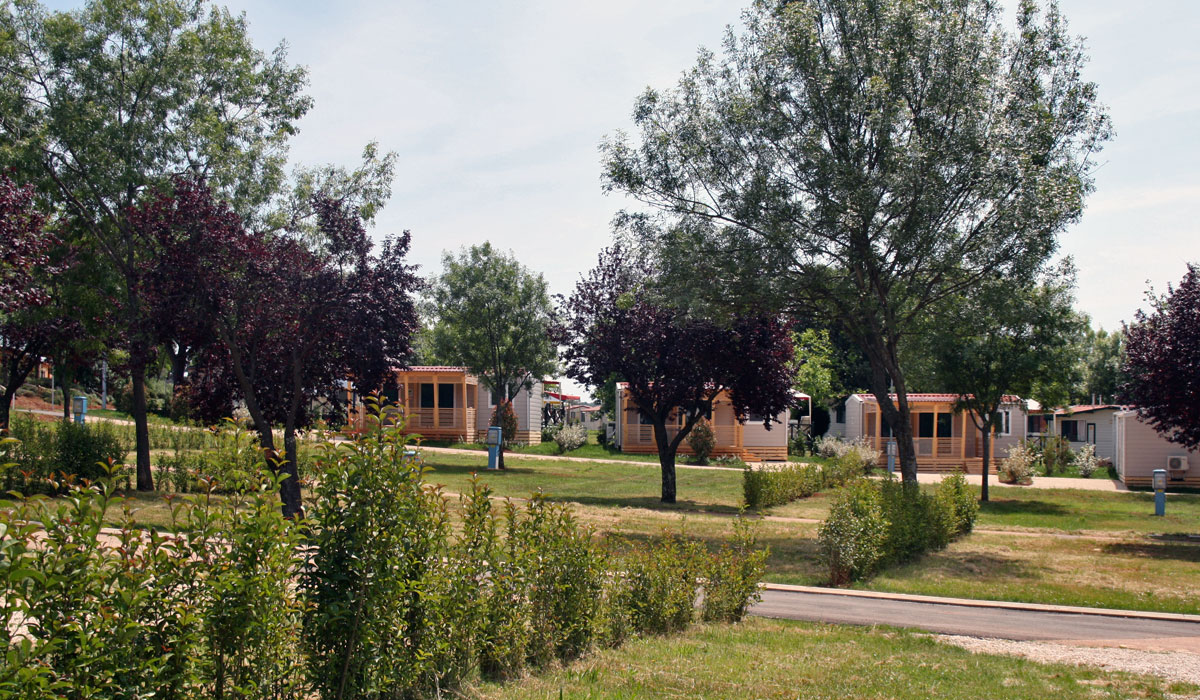 PARK UMAG - DESIGN HOMES